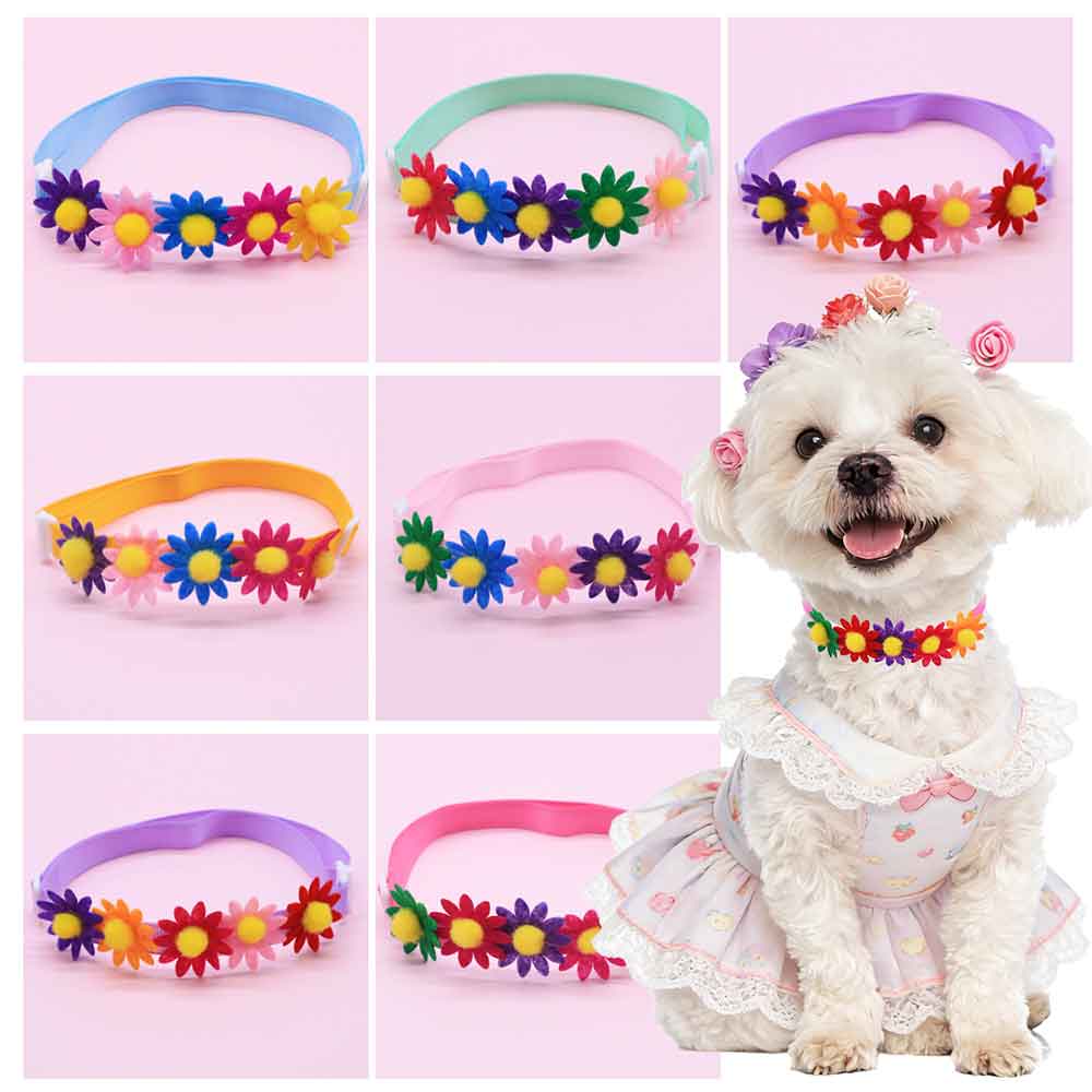 Pet Supplies Co - 50 Pezzi Fiocchi Colorati per Cani,