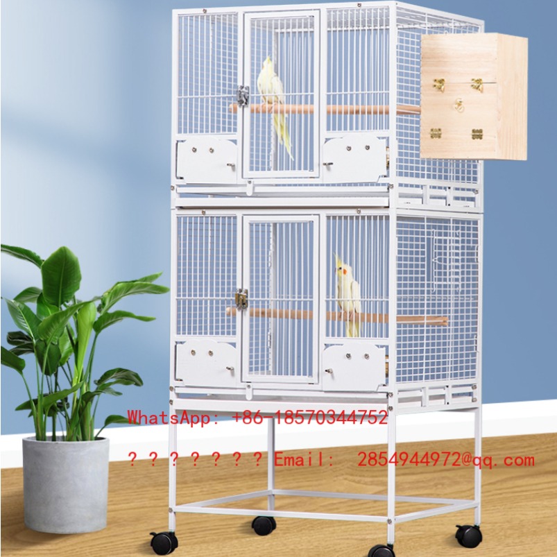 Bird Cage Parrot - 2026 Gabbia per piccioni di grandi