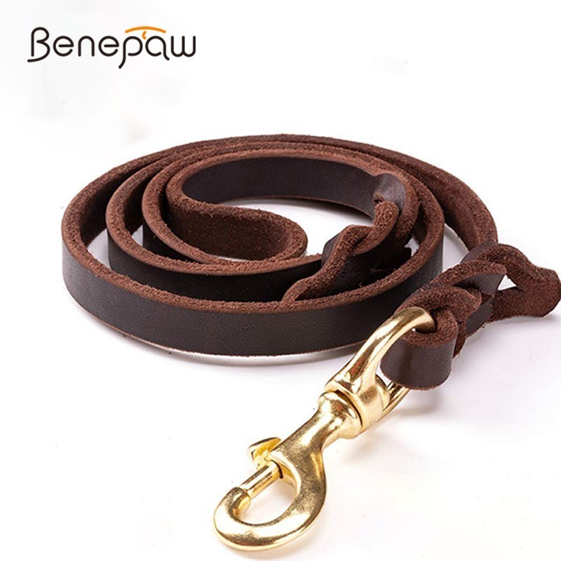 Pet Supplies Pet Shop - Benepaw High-end Pelle Bovina In Pelle