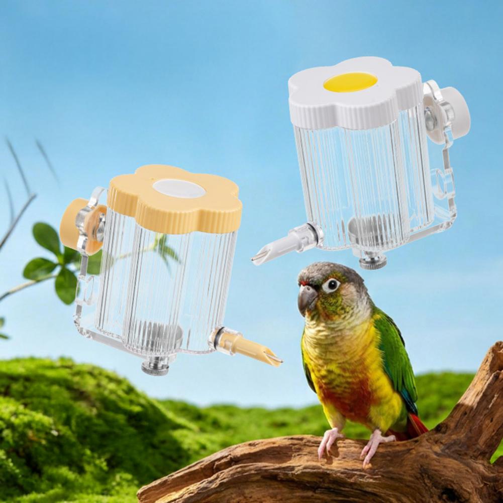Distributore d'acqua automatic - Bird Cage Parrot recensione e prezzo