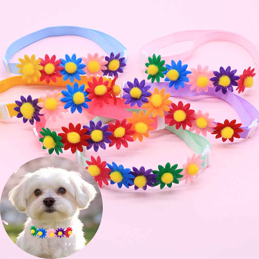 50 Pezzi Fiocchi Colorati per  - Pet Supplies Co recensione e prezzo
