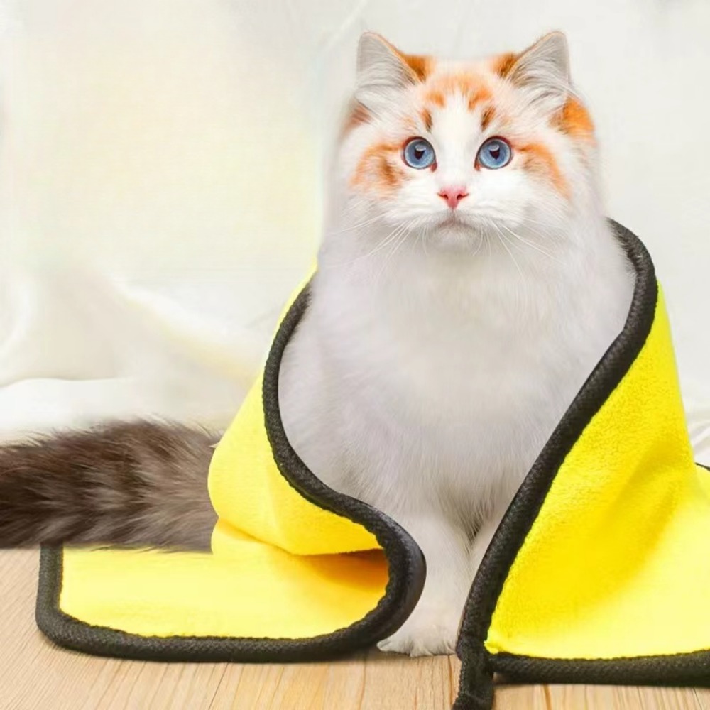 E5 Accessori per cani da compa - Pet Supplies Pet Shop recensione e prezzo