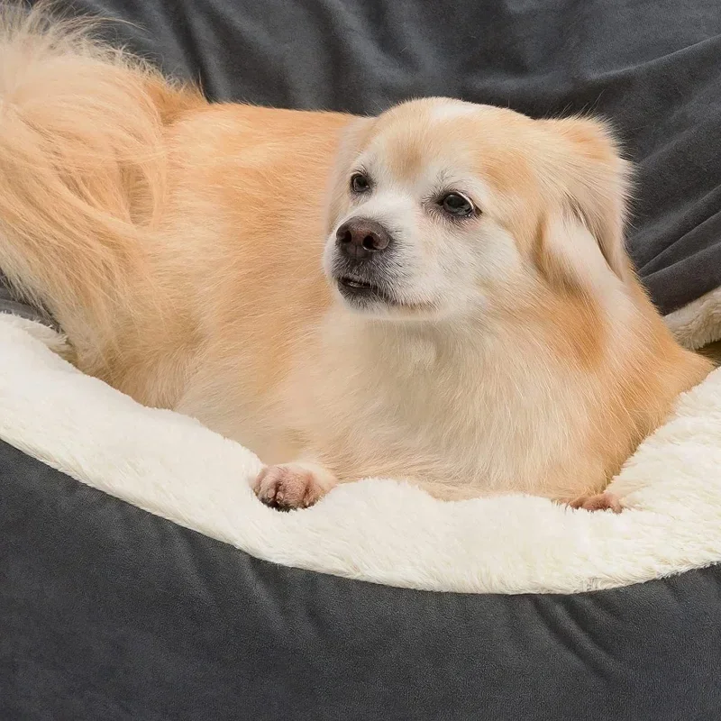 Cuccia per cani semichiusa cuc - Calming Dog Bed recensione e prezzo