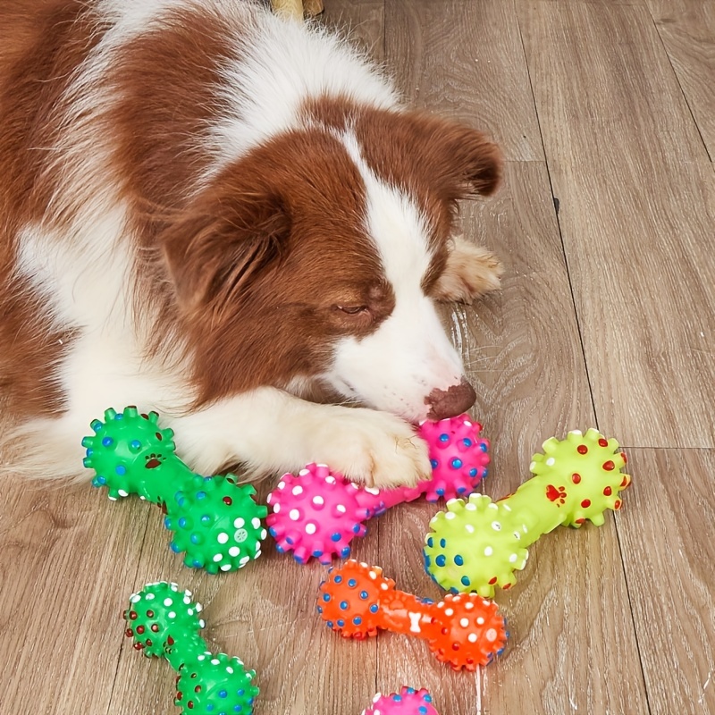 Giocattoli per cani di taglia  - Pet Supplies Pet Shop recensione e prezzo