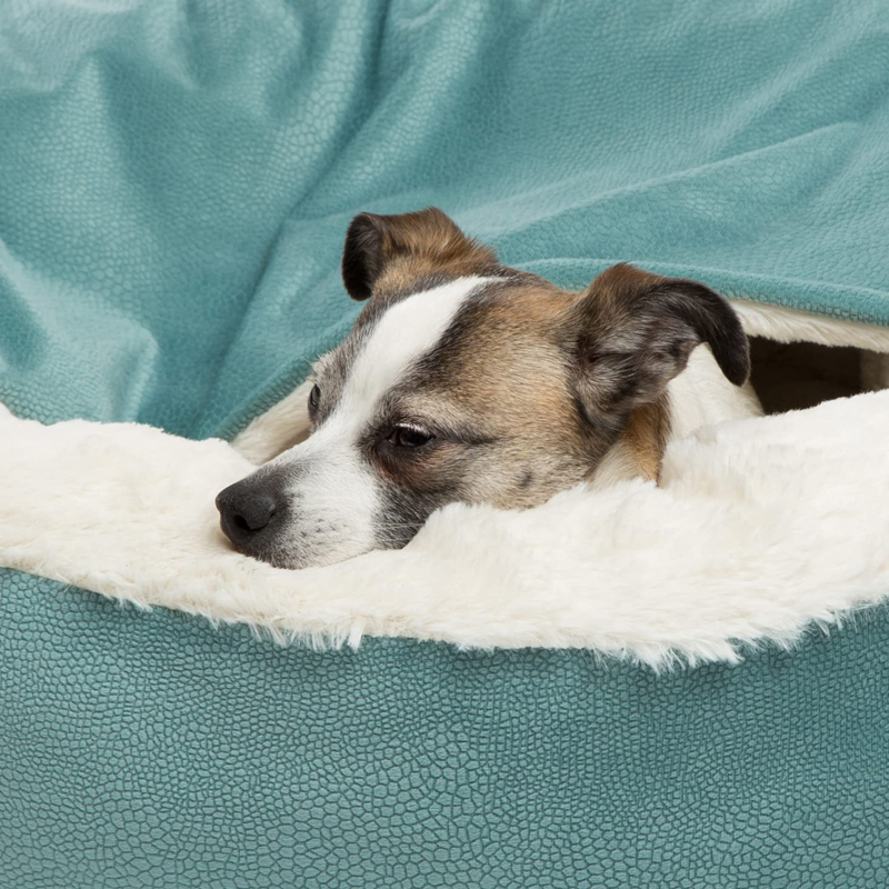 Lettino per cani ortopedico Be - Calming Dog Bed recensione e prezzo