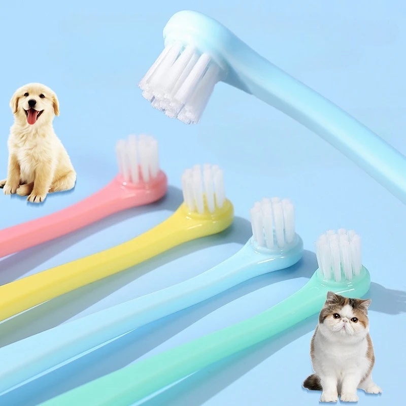Spazzolino per Cani, Spazzola  - Pet Supplies Co recensione e prezzo