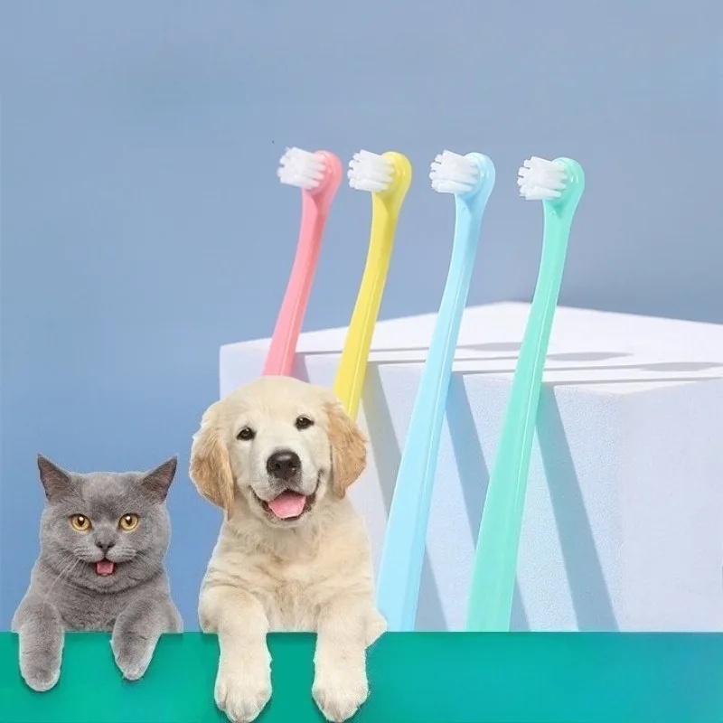 Spazzolino per Cani, Spazzola  - Pet Supplies Co recensione e prezzo