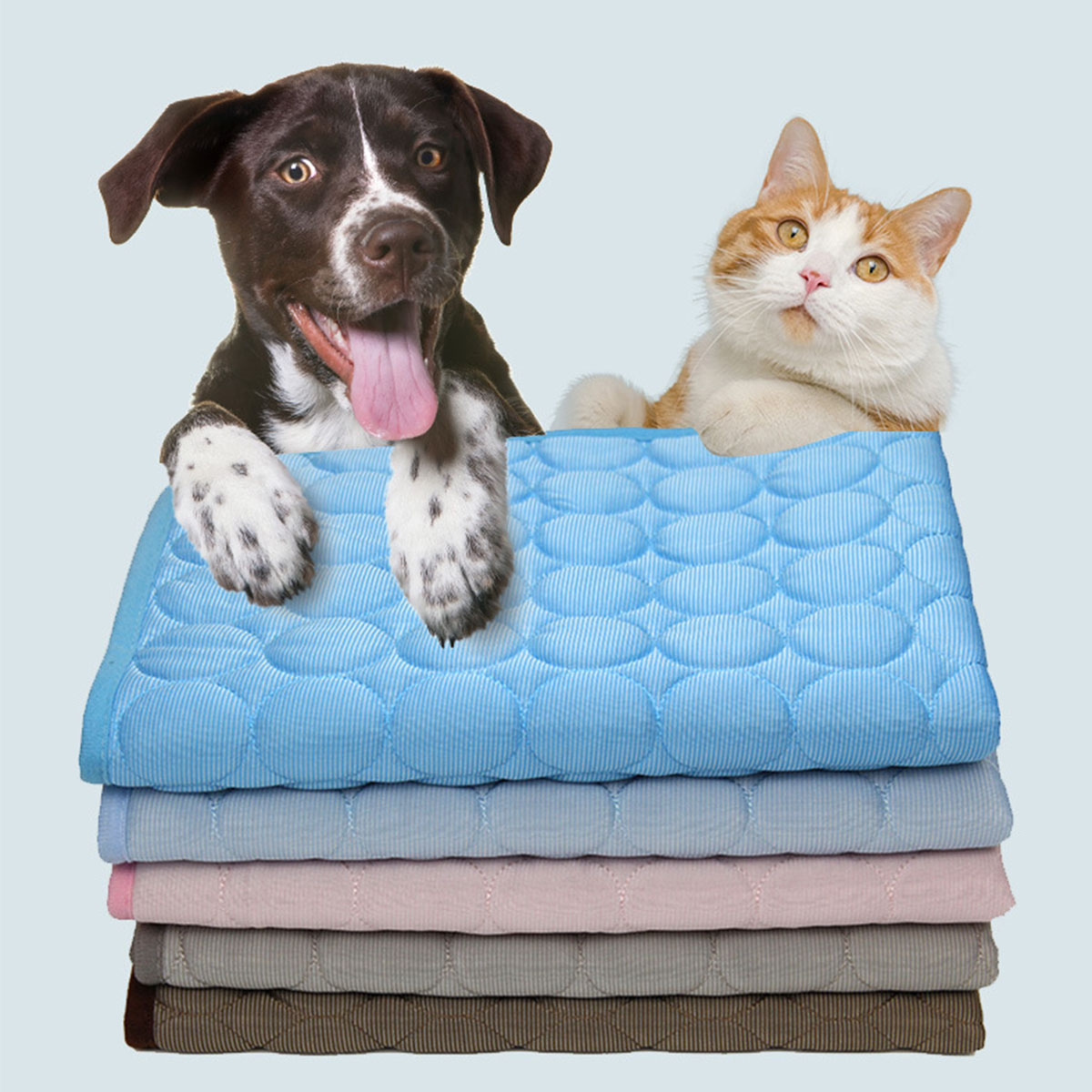 Tappetini Refrigeranti per Ani - Calming Dog Bed recensione e prezzo