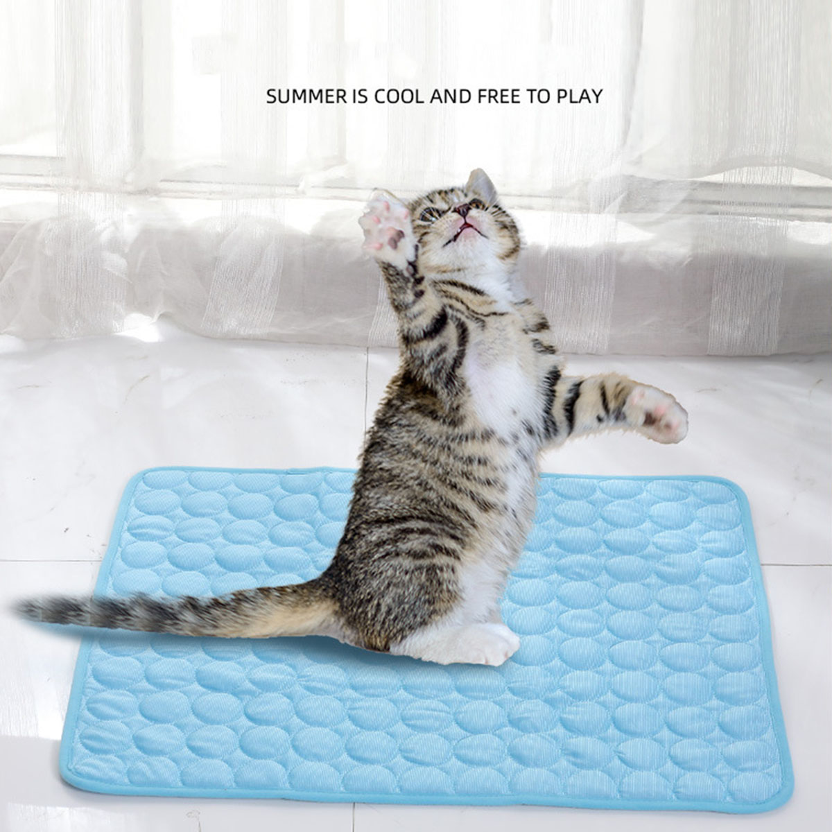 Tappetini Refrigeranti per Ani - Calming Dog Bed recensione e prezzo