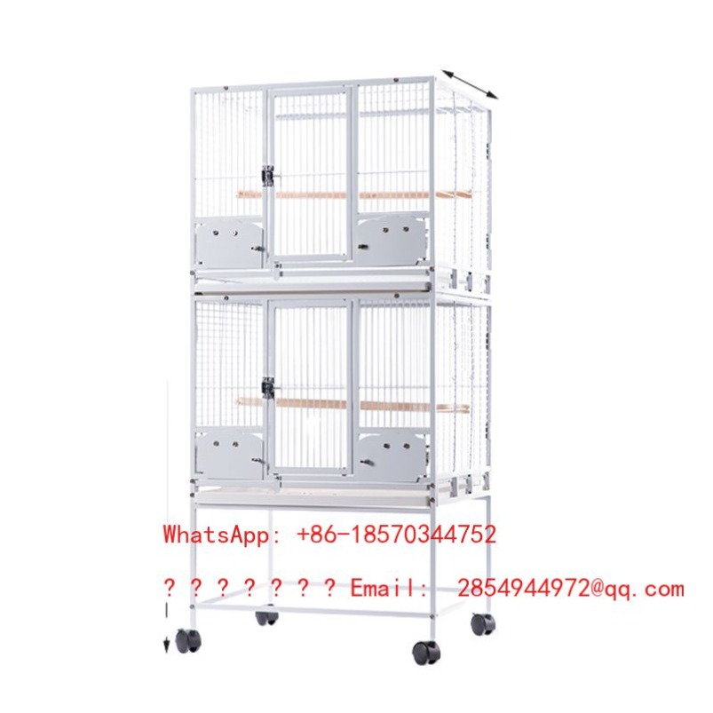 2026 Gabbia per piccioni di gr - Bird Cage Parrot recensione e prezzo