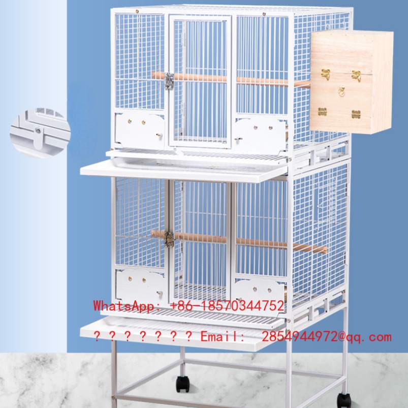 2026 Gabbia per piccioni di gr - Bird Cage Parrot recensione e prezzo