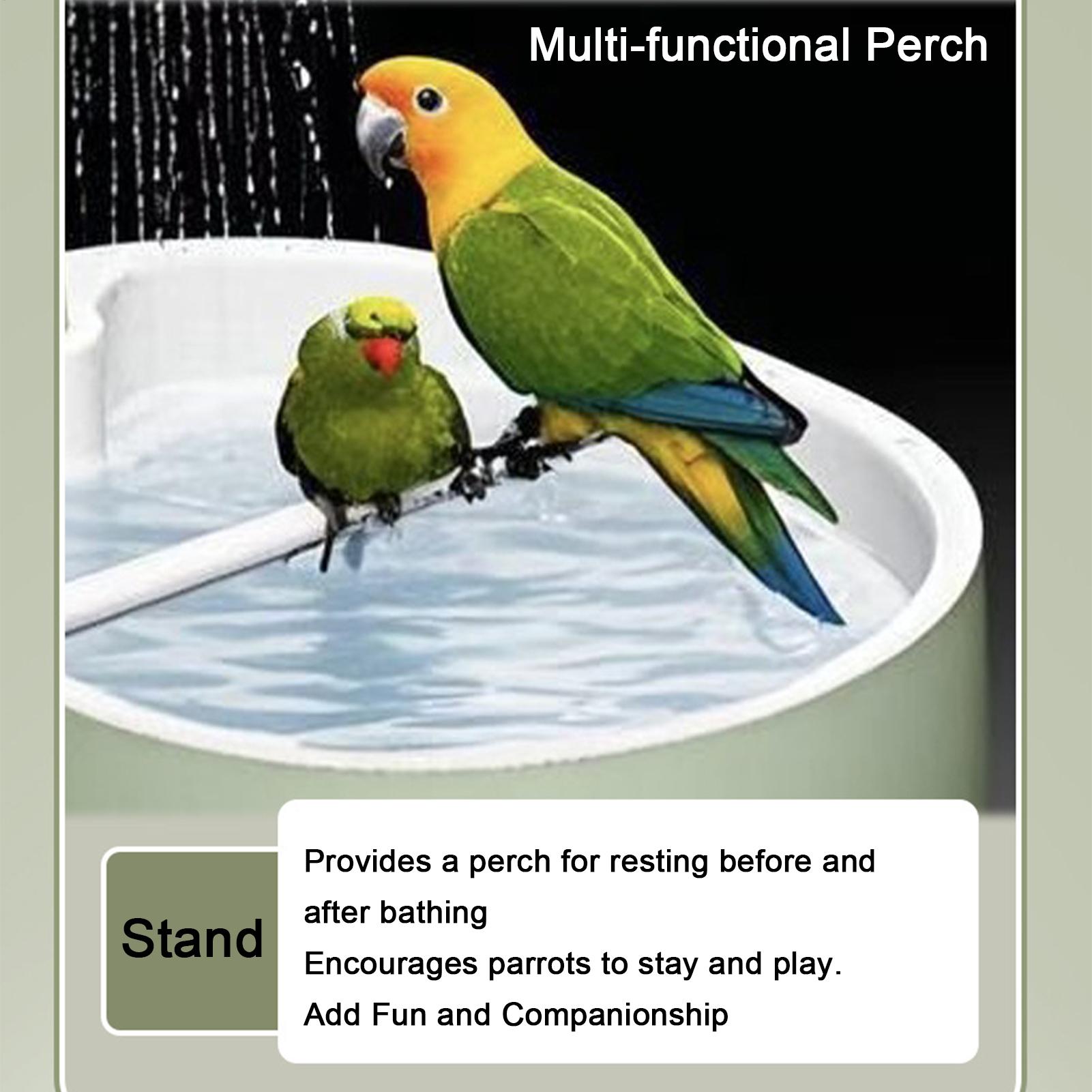 Vasca da Bagno Automatica per  - Bird Cage Parrot recensione e prezzo