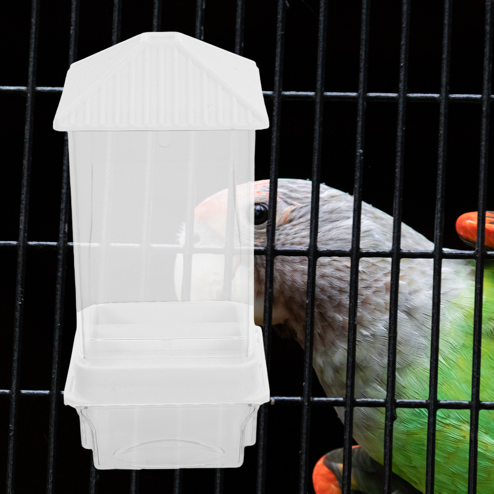 Mangiatoia Automatica per Ucce - Bird Cage Parrot recensione e prezzo