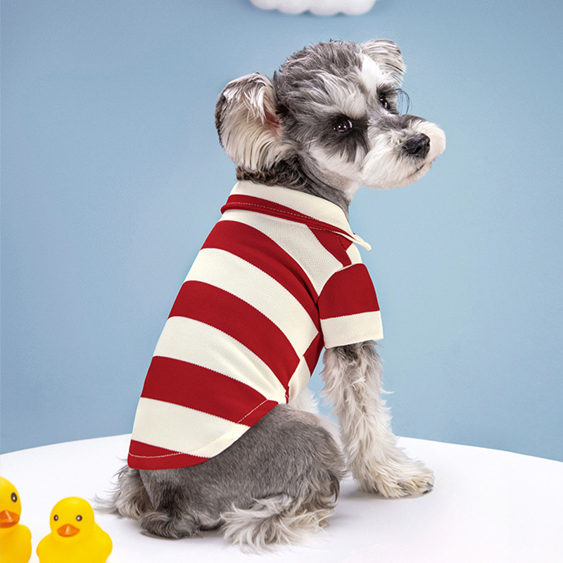 Maglietta Polo per Cani, Abbig - Pet Supplies Co recensione e prezzo