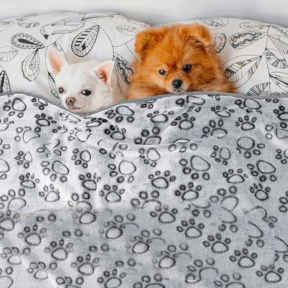 Coperta Morbida Invernale Lava - Calming Dog Bed recensione e prezzo