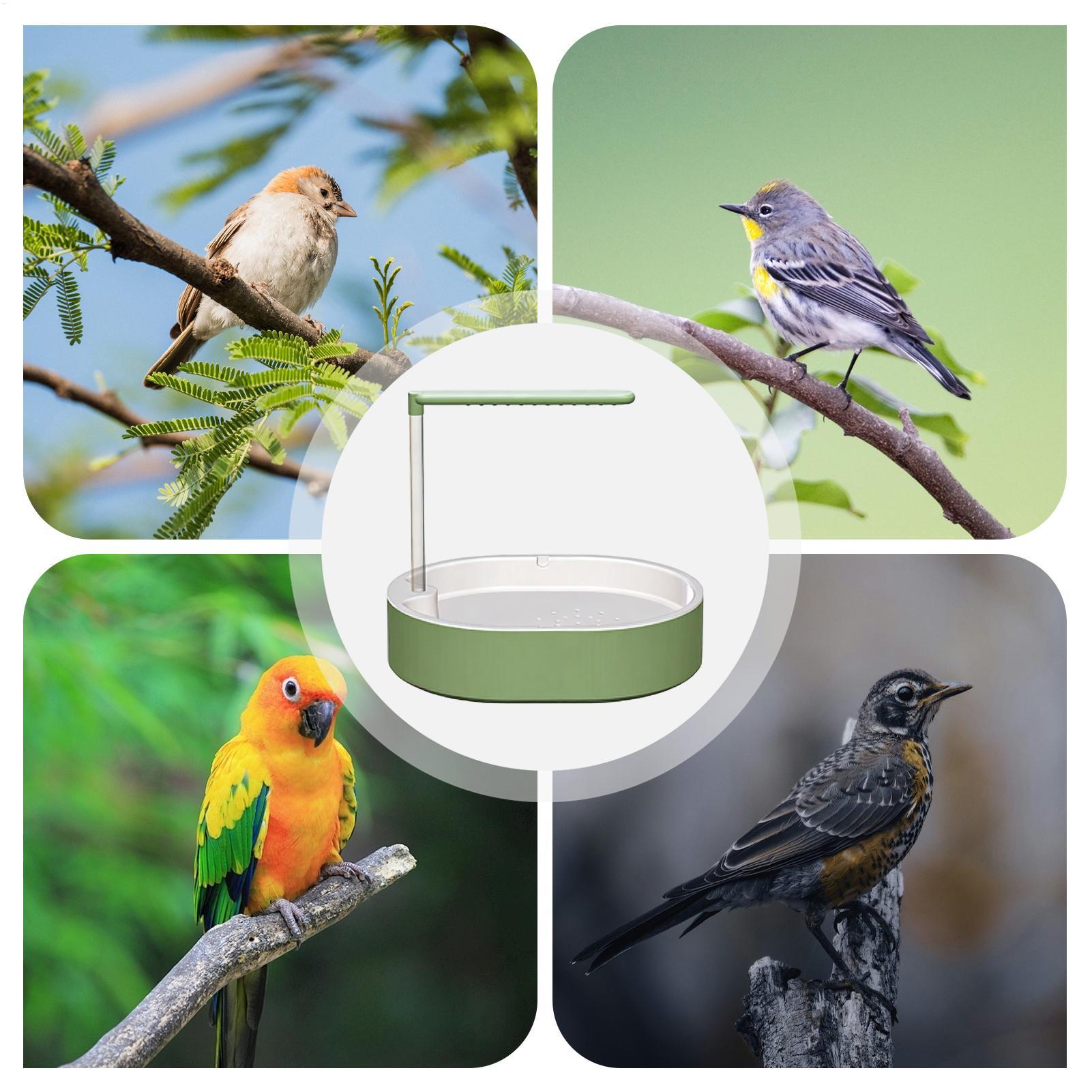 Fontana per Bagno Pappagalli,  - Bird Cage Parrot recensione e prezzo