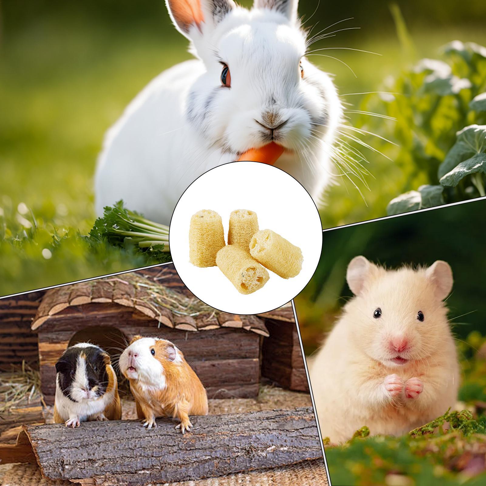 Giocattoli da masticare per co - Pet Supplies Pet Shop recensione e prezzo