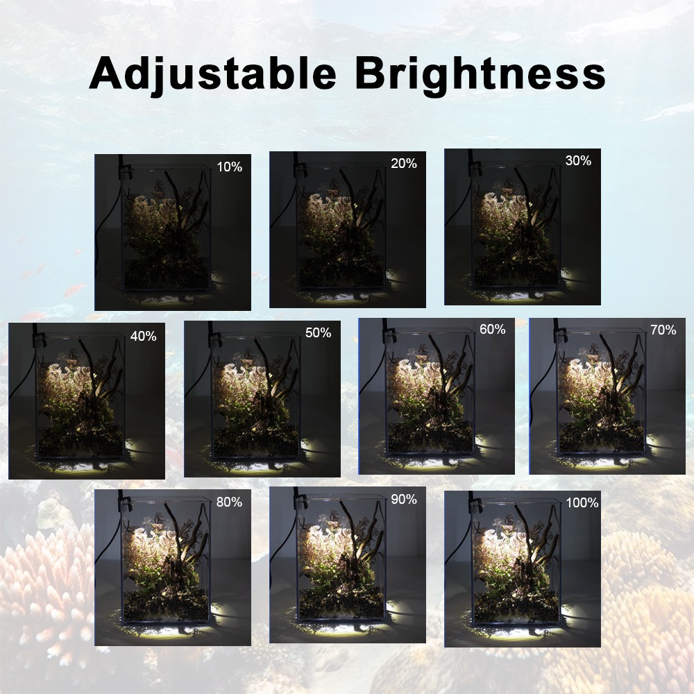 Lampada LED Super Sottile per  - Pet Supplies Pet Shop recensione e prezzo