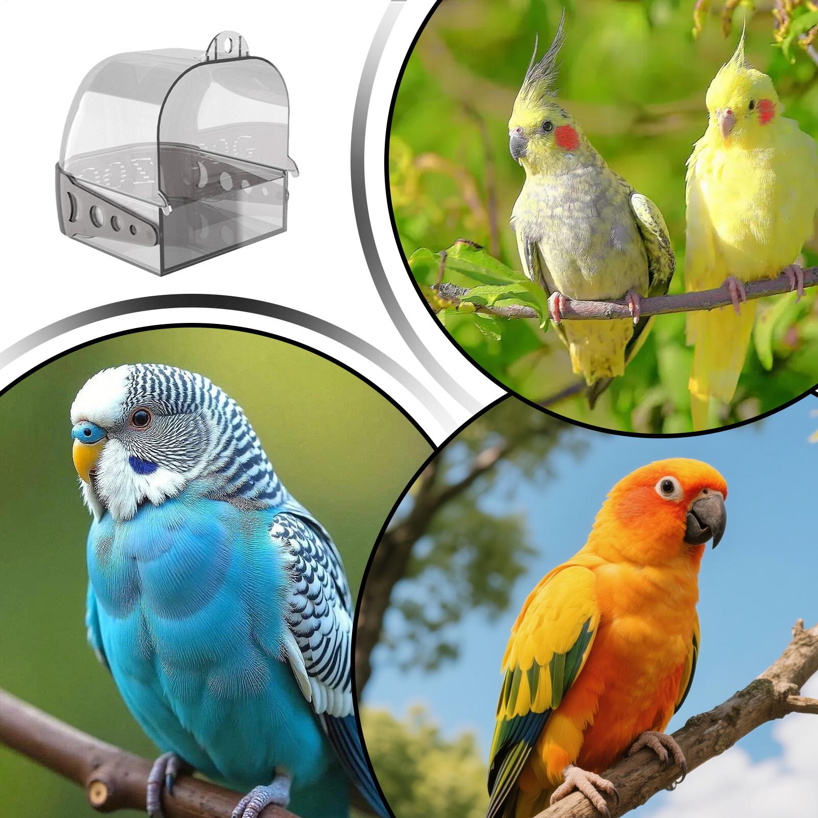 Vasca da bagno per uccelli da  - Bird Cage Parrot recensione e prezzo