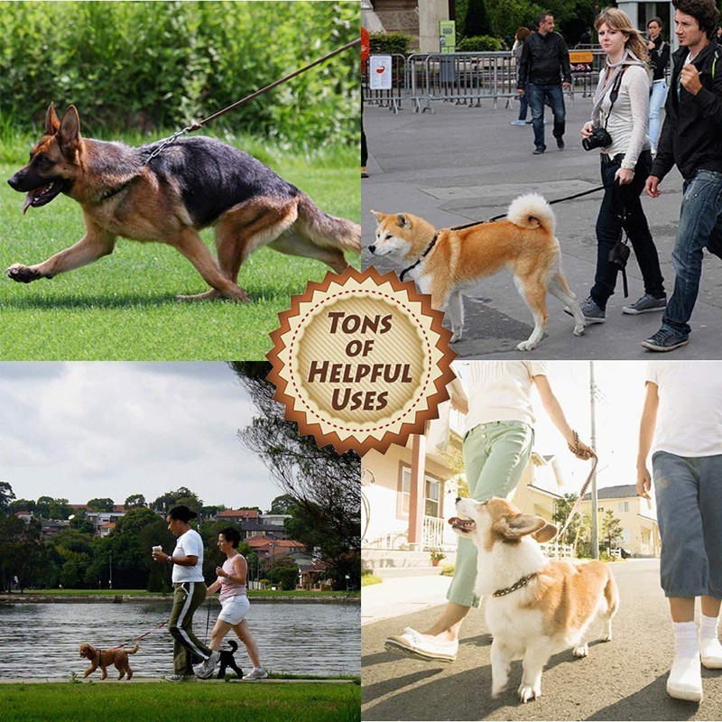 Benepaw High-end Pelle Bovina  - Pet Supplies Pet Shop recensione e prezzo