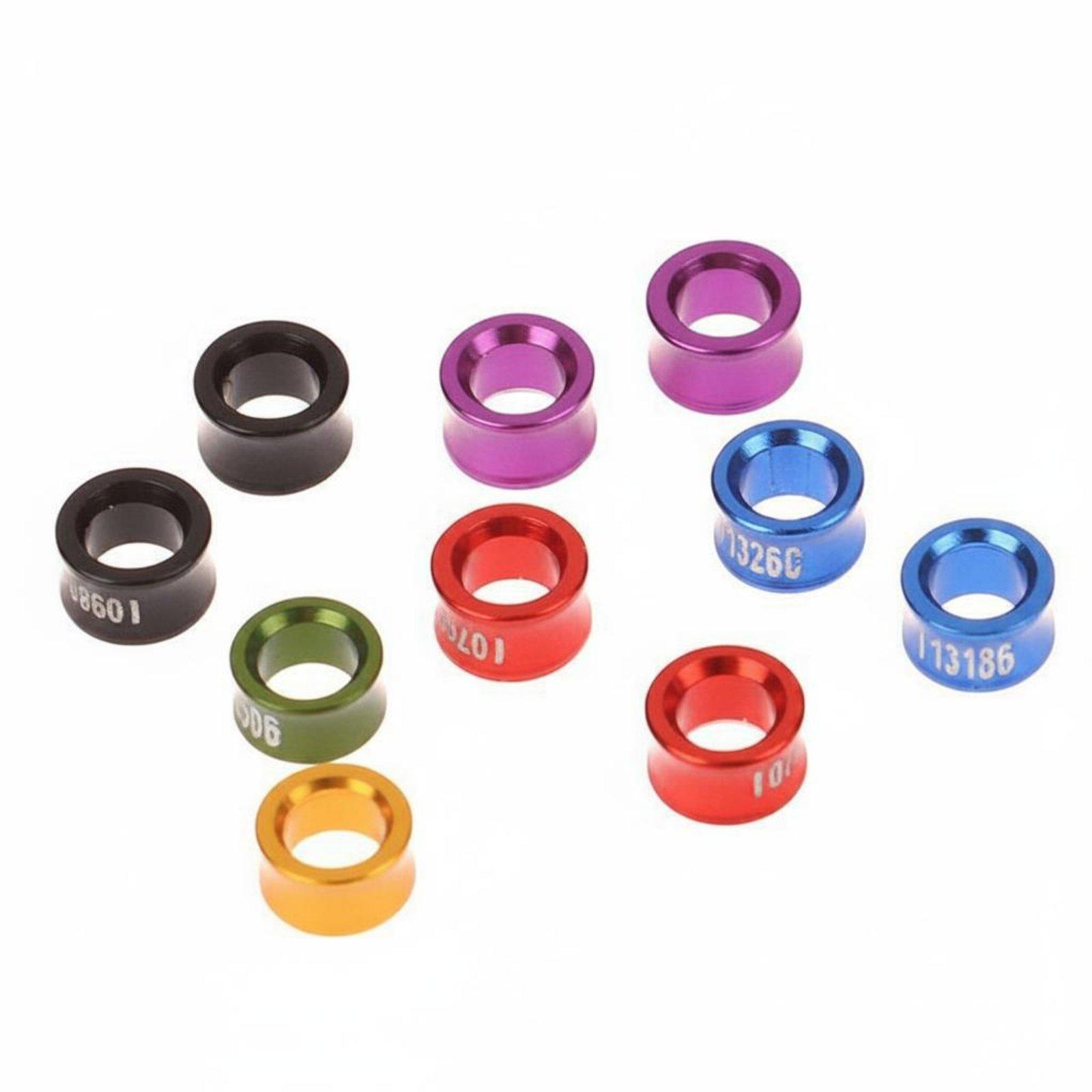 Anelli per Zampe di Uccelli in - Bird Cage Parrot recensione e prezzo